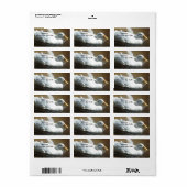 Duck Address Labels Adressaufkleber (Vorne)