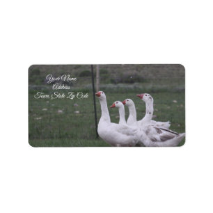 Duck Address Labels Adressaufkleber