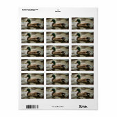 Duck Adressaufkleber (Vorne)