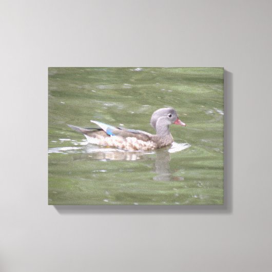 Duck am Canvas-See Print Leinwanddruck (Vorderseite)