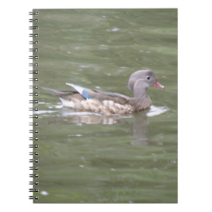 Duck auf dem Notebook-See Notizblock