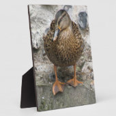 Duck auf der Wall Plaque Fotoplatte (Seite)