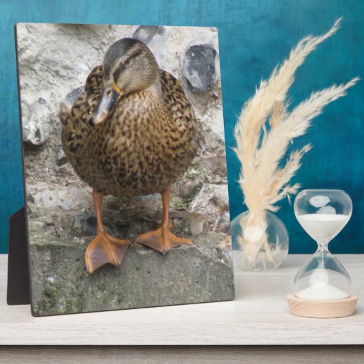 Duck auf der Wall Plaque Fotoplatte (Seite)