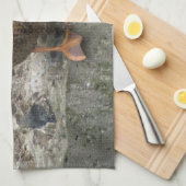 Duck auf einer Wand Küchentuch (Viertel Falte)