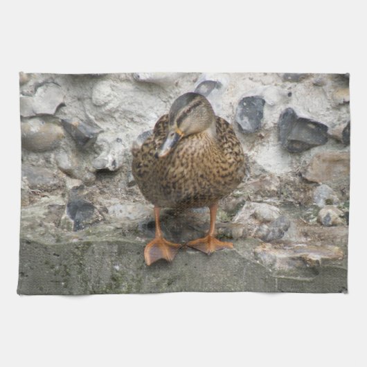 Duck auf einer Wand Küchentuch (Horizontal)