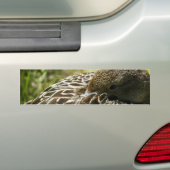 Duck Autoaufkleber (Auf Auto)