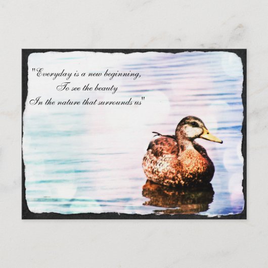 Duck Beauty Postcard Postkarte (Vorderseite)