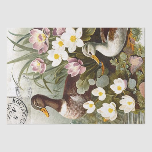 Duck Bird Decoupage Floral Französisch Postmark Vi Seidenpapier (Vorderseite)