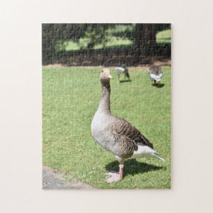 Duck Bird Kew Gardens London Fotografy Puzzle