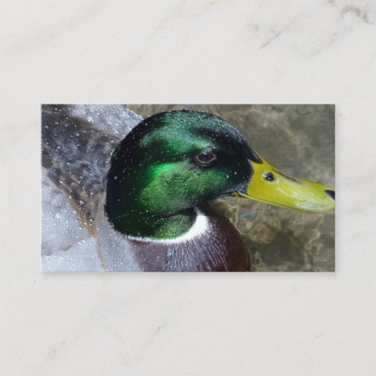 Duck Business Cards Visitenkarte (Vorderseite)