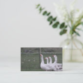 Duck Business Cards Visitenkarte (Stehend Vorderseite)