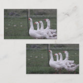 Duck Business Cards Visitenkarte (Vorne/Hinten)