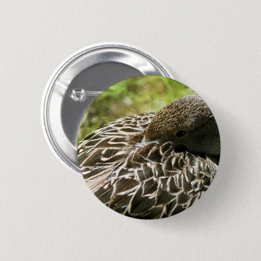 Duck Button (Vorne & Hinten)