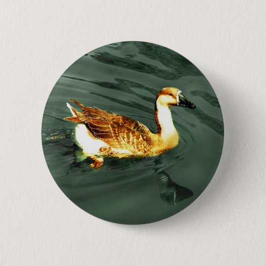 Duck Button (Vorderseite)