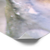 Duck Closeup Print Poster (Ecke)