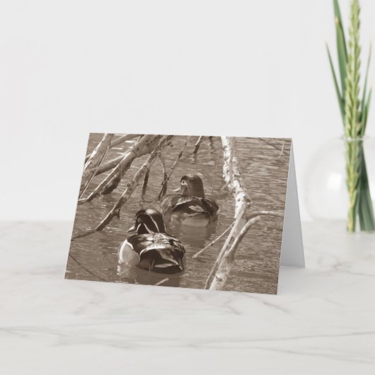 Duck Drake and Hen in Sepia Karte (Vorderseite)