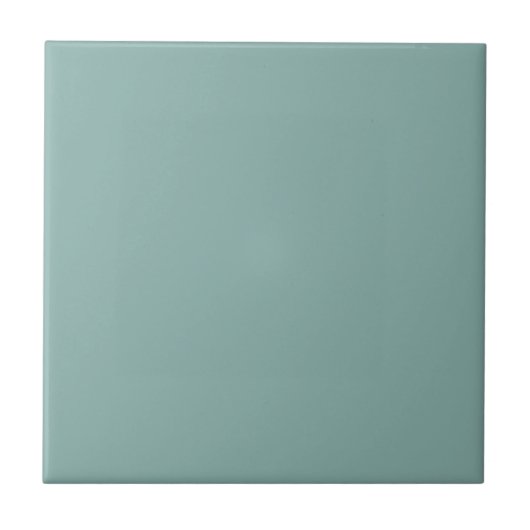 Duck Egg Blue Solid Color Tile Fliese (Vorderseite)
