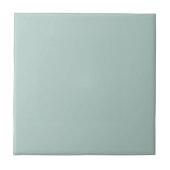 Duck Egg Blue Solid Color Tile Fliese (Vorderseite)