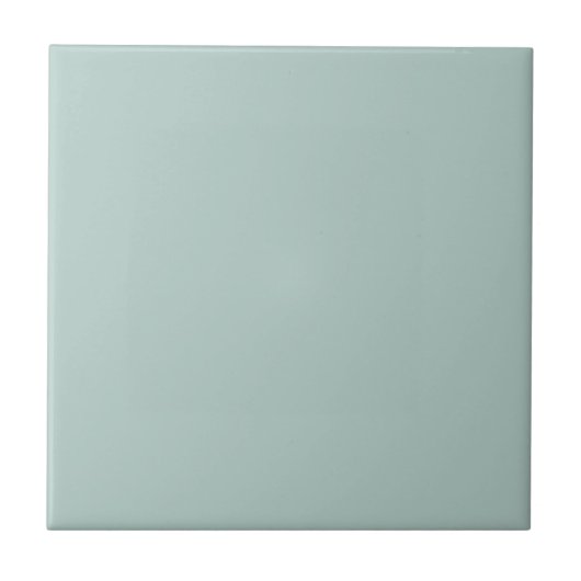 Duck Egg Blue Solid Color Tile Fliese (Vorderseite)