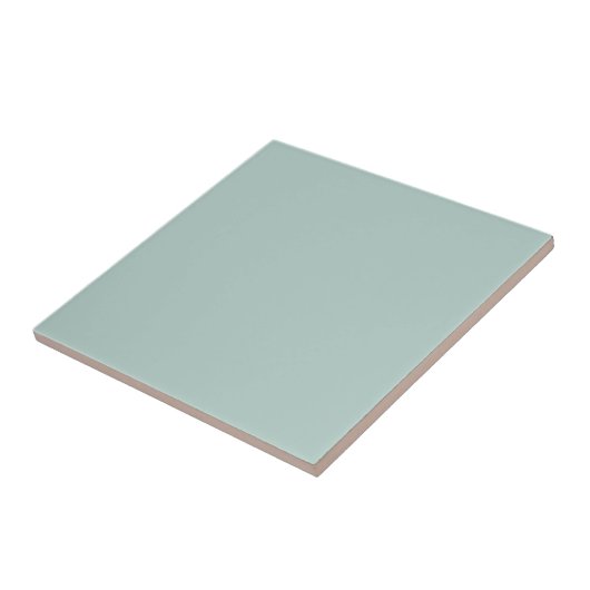 Duck Egg Blue Solid Color Tile Fliese (Seite)