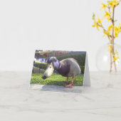 "Duck Encounter" Karte (Gelbe Blume)