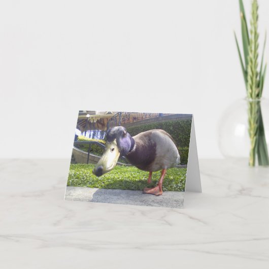 "Duck Encounter" Karte (Vorderseite)