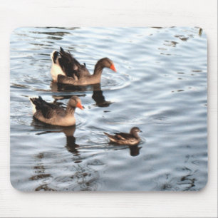 Duck-Familie Mousepad