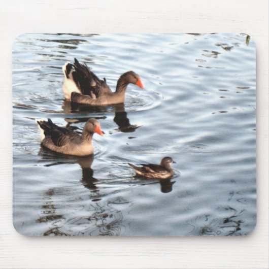 Duck-Familie Mousepad (Vorne)