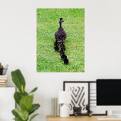 Duck-Familie Poster (Heimbüro)