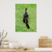 Duck-Familie Poster (Küche)