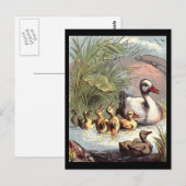 Duck-Familie Postkarte (Vorne/Hinten)