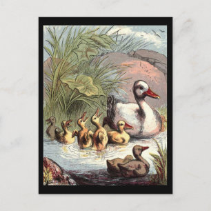 Duck-Familie Postkarte