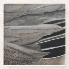 Duck Feather Foto Moderne Schwarze Graue Natur Glasuntersetzer