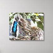 DUCK FEATHERS LEINWANDDRUCK (Vorderseite)