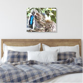 DUCK FEATHERS LEINWANDDRUCK (Insitu (Schlafzimmer))