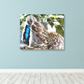 DUCK FEATHERS LEINWANDDRUCK (Insitu (Holzboden))