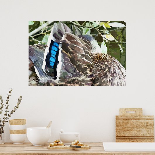 DUCK FEATHERS POSTER (Küche)