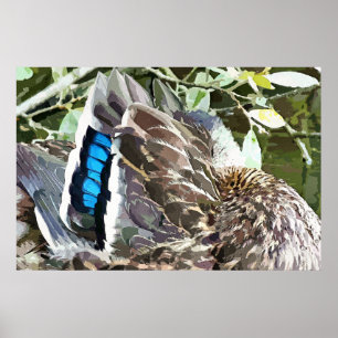 DUCK FEATHERS POSTER