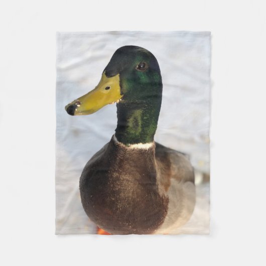 Duck Fleece Blanket (Vorderseite)