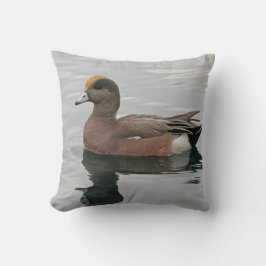 Duck Foto Lake Bird Wigeon Blue Brown Calm Wasser Kissen