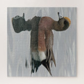 Duck Foto Male Wigeon Calm Water Reflection Puzzle (Horizontal)