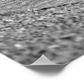 Duck Foto Poster (Ecke)