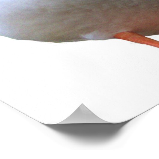 Duck Foto Poster (Ecke)