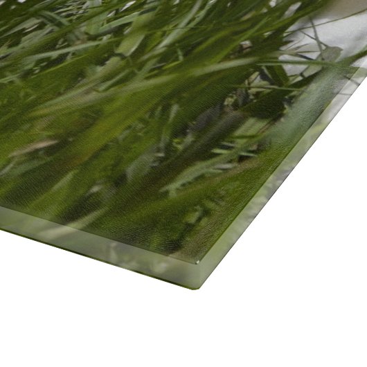 Duck Glass Cutting Board Schneidebrett (Ecke)