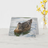 Duck Greeting Card Karte (Gelbe Blume)