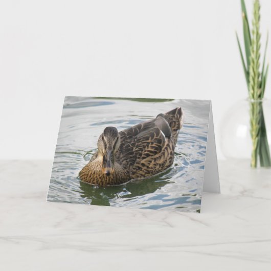 Duck Greeting Card Karte (Vorderseite)