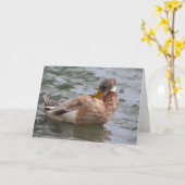 Duck Greeting Card Karte (Gelbe Blume)