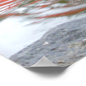 Duck Hintern Poster (Ecke)