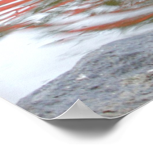 Duck Hintern Poster (Ecke)