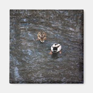 DUCK HINTERNS MAGNET